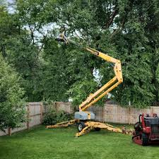 Best Artificial Turf Installation  in Castlewood, VA